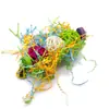 3 peças brinquedo de papagaio roer papel picado suprimentos para pássaros utensílios bola de rattan triturador de papel brinquedo de bucha para pássaro brinquedo de pássaro