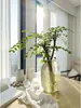 Serviço de Dropshipping para Árvores Bonsai de Folha Pequena de Ligustrum Hidropônico, Plantas Ornamentais Perenes com Folhagem e Caules, Galhos e Flores Recém-Cortados