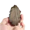 Figura de Buda Maitreya tallada en madera de agarwood de 10 cm con hoja de loto y Yuanbao, Adorno de coche de madera maciza, Obra de arte de madera para adorar a Buda, Regalo para exhibición en mesa