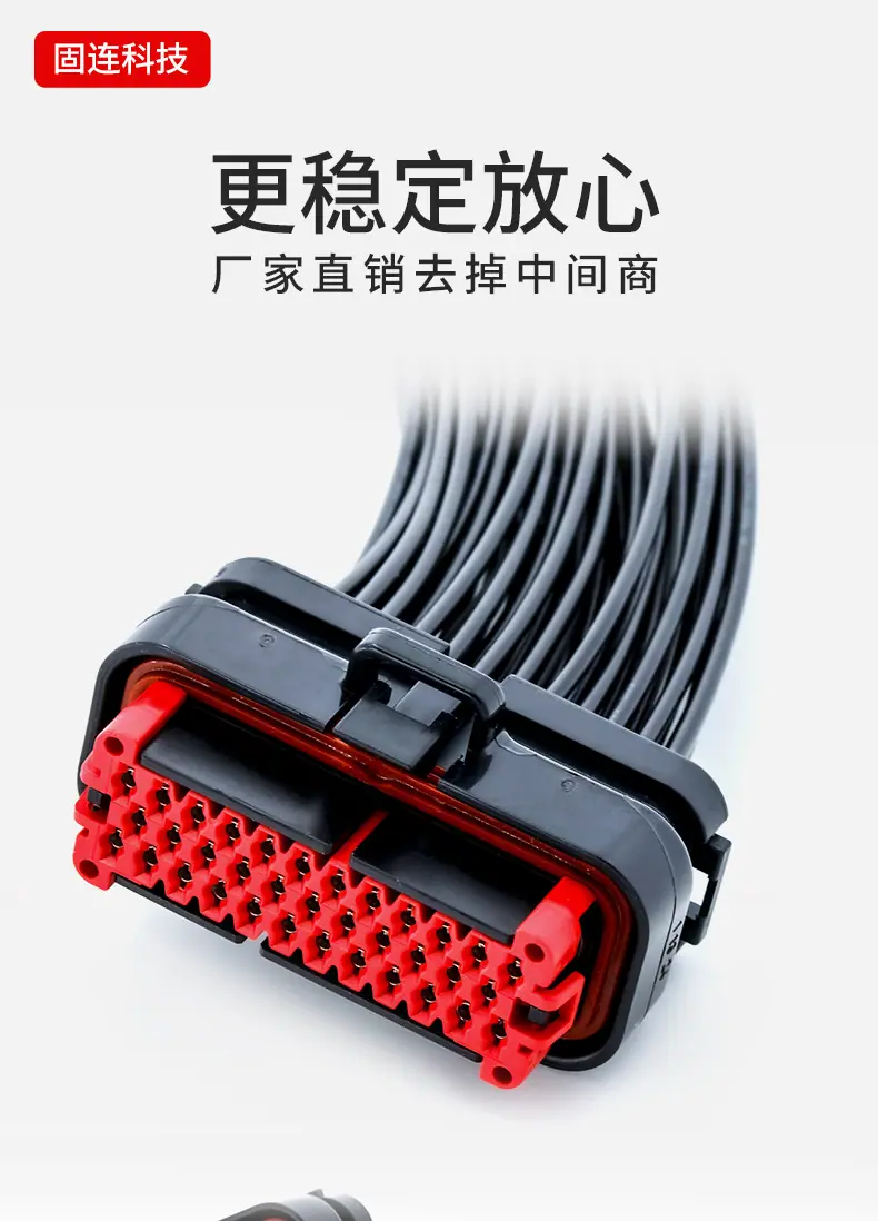 amp35母头线束_01.jpg