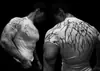 Breathedivinity Marca Americana Moderna Camiseta Masculina Esportiva Fitness Elástica Apertada Roupas de Treino Top Camiseta