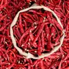 Chile seco extra picante, producto de granja especial secado al sol, extremadamente fragante y extremadamente picante, pimienta india, venta al por mayor comercial 100g