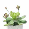 3 Plantas Suculentas de Simulação Combinação de Plantas Verdes Prato Plástico Flor Única em Vaso Flores de DIY Ornamentos Flor Artificial