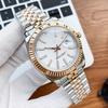 Reloj Mecánico Automático para Hombre Tipo Log con Calendario Luminoso, Reloj Impermeable de Acero Inoxidable 904L, Reloj Danny Road