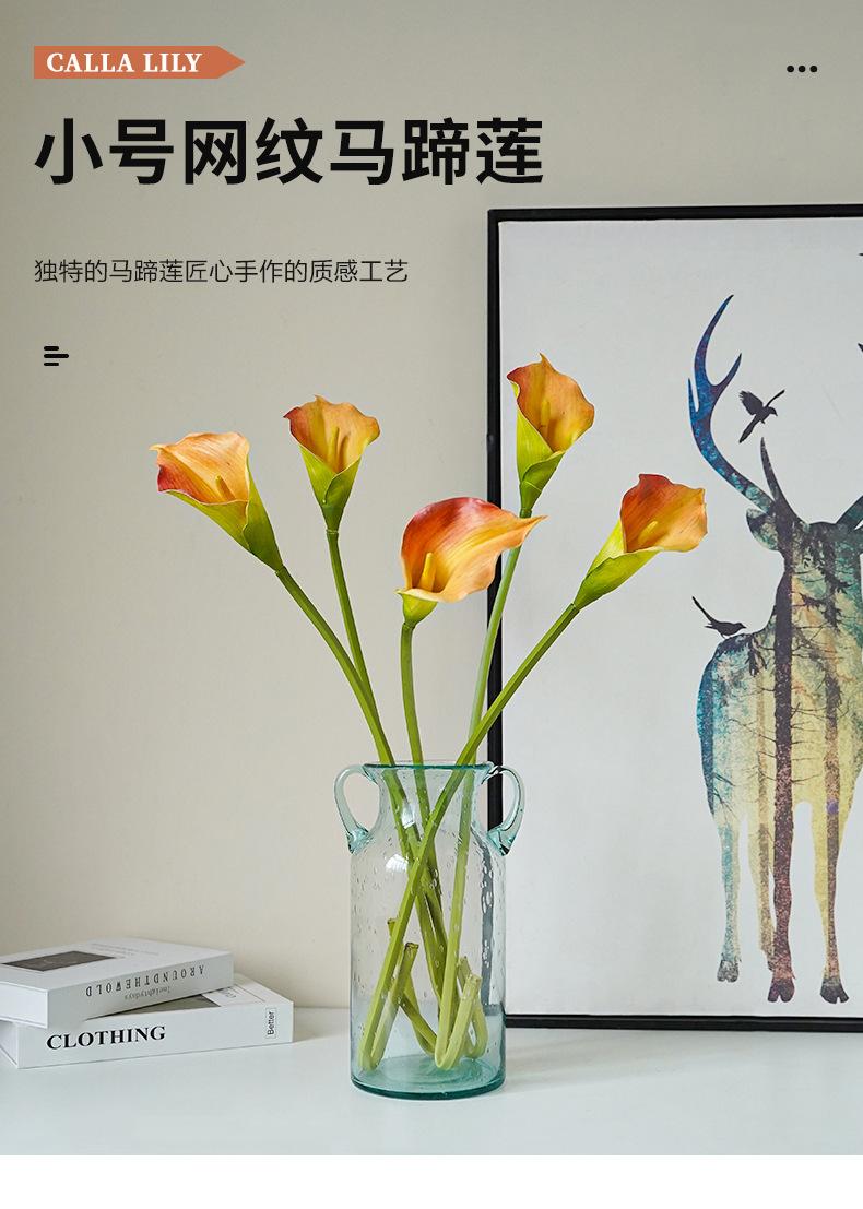 小号网纹马蹄莲_01.jpg