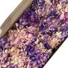Hortensia de madera con degradado de color, flor eterna, rosa eterna, caja de regalo, material floral, flor seca, flor de preservación, material floral eterno