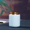 Celadon Longquan tampa de metal lata de chá selada lata de chá à prova de umidade média armazenamento de cerâmica lata de armazenamento de presente logotipo