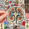 50 pegatinas de órganos humanos para resolver el problema en estilo graffiti creativo decoración cuaderno cuenta manual pegatinas impermeables