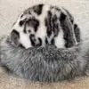 Sombreros Transfronterizos Estilo Nuevo Europeo y Americano Sombreros de Piel Mongola con Estampado de Leopardo Sombreros de Pescador Tipo Cubo de Moda para Otoño e Invierno Sombreros Mongoles con Estampado de Leopardo