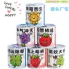 Pote de Bênçãos Criativo para Celebrante de Internet Latas Mini Planta Verde para Interior Mesa Flores Planta Enlatada Infantil