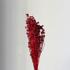 Flor seca frijol rico frijol enamorado flor eterna fábrica mayoreo rojo dorado frijol rojo lino frijol carambola ramo
