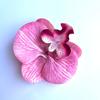 Flor Artificial 3D Cabeza de Flor Phalaenopsis Exportación Película Phalaenopsis Flor Falsa Horquilla Phalaenopsis Transfronteriza Boda Caja de Dulces Cabeza de Flor