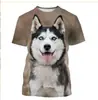 Camiseta Manga Curta Lt 666