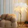 Sofá de Sala de Estar com Novo Design Estilo Francês Lâmpada Decorativa Atmosfera Luminária de Chão com Pena Luminária de Chão de Luxo Ostrich para Quarto