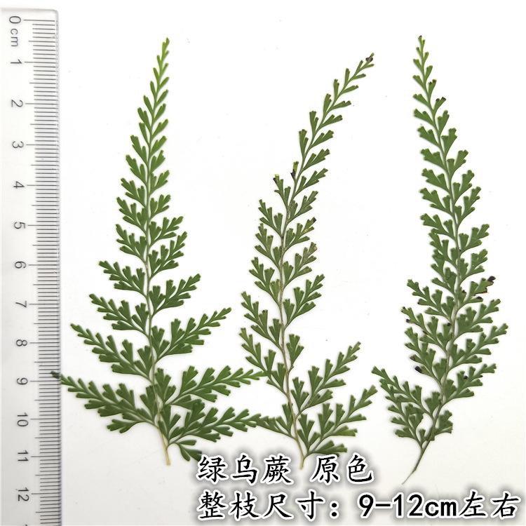 IMG20190107162106