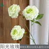 Rosa Sol Sueño Rosa Boda Hotel Arco Camino Guía Flores Artificiales Escenario Pared de Flores Decoración Arreglo Floral Flores de Seda