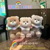 Chaveiro de Boneca de Pelúcia Tendência Cheirosa Mais Vendido Brinquedo da Moda Celebridade da Internet Pingente de Mochila Loja Boneca de Máquina de Garra Suprimento