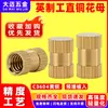 Porca Reta Knurled Padrão Britânico de Latão para Furos Cegos, Porca de Cobre Embutida Knurled Moldada por Injeção, Inserção Rosqueada 1/4-20 Integrada