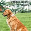 Guia de Cachorro Corda P Guia de Passeio para Cachorro Corrente P Guia de Cachorro para Cães Médios e Grandes Anti-Explosão Anti-Mordida Guia de Cachorro