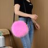 Bolso de Felpa Imitación Piel 2024 Europeo y Americano, Bolso Redondo Pequeño, Bolso Cruzado, Bolso Imitación Piel de Zorro, Dropshipping Transfronterizo