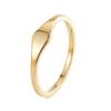 Anillo Simple de Acero de Titanio Plano Cepillado Estilo Coreano para Mujer Diseño Nicho Irregular de Alta Gama Lujo Ligero Celebridad de Internet Anillo Ins