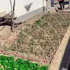 Estrutura de Estufa Pequena em Forma de Arco, Estufa de Plástico, Estufa para Vegetais de Cobertura de Inverno, Hastes de Fibra de Vidro, Hastes Arqueadas Sólidas de Alta Elasticidade para Estufa