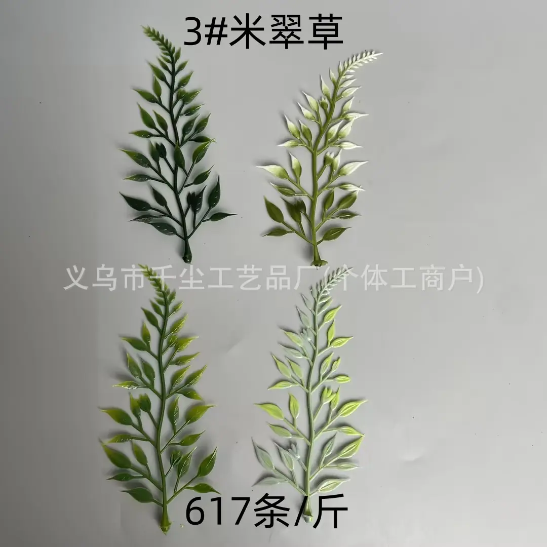 3#米翠草.jpg