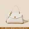 2026 Bolso Cruzado Práctico Nuevo, Gran Capacidad, Bolso de Mano de Alta Gama, Diseño de Nicho, Hebilla de Cierre Versátil para Mujer, Estilo para el Trabajo
