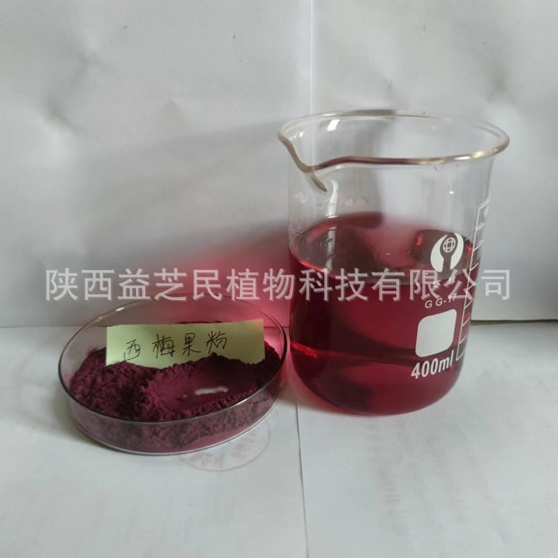 西梅提取物6