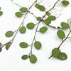 Lámpara de mesa con relieve de hoja real Chiba Chlorophytum Bryophyllum planta vela espécimen flor seca marcapáginas martingale flor seca decorativa