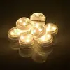 Luz Led Impermeable Control Remoto Luz de Ambiente RGB Brillante Luz Cálida Luz Blanca Luz Inalámbrica de Buceo Decoración de Paisaje Luz Pequeña Mini
