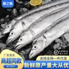 Peixe-espada congelado do Mar da China Oriental, Peixe-espada inteiro pescado no mar, Caixa inteira de frutos do mar, Atacado comercial, Frete grátis