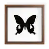 Pintura Decorativa de Mariposa de Serrín Valiosa, Espécimen Real de Mariposa, Regalo de Cumpleaños, Marco de Regalo, Exhibición de Mesa, Tridimensional de Gama Alta