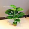 Planta verde de eneldo simulación en maceta boutique de 18 hojas corazón de pollo perenne hoja de pavo hoja de tortuga decoración de bonsái súper realista