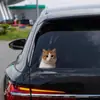Pegatinas para Coche de Memes de Gatos, Calcomanías Divertidas de Emoticonos de Hakimi para Coche, Precaución para Principiantes, Pegatinas para Coche de Perros Hakimi