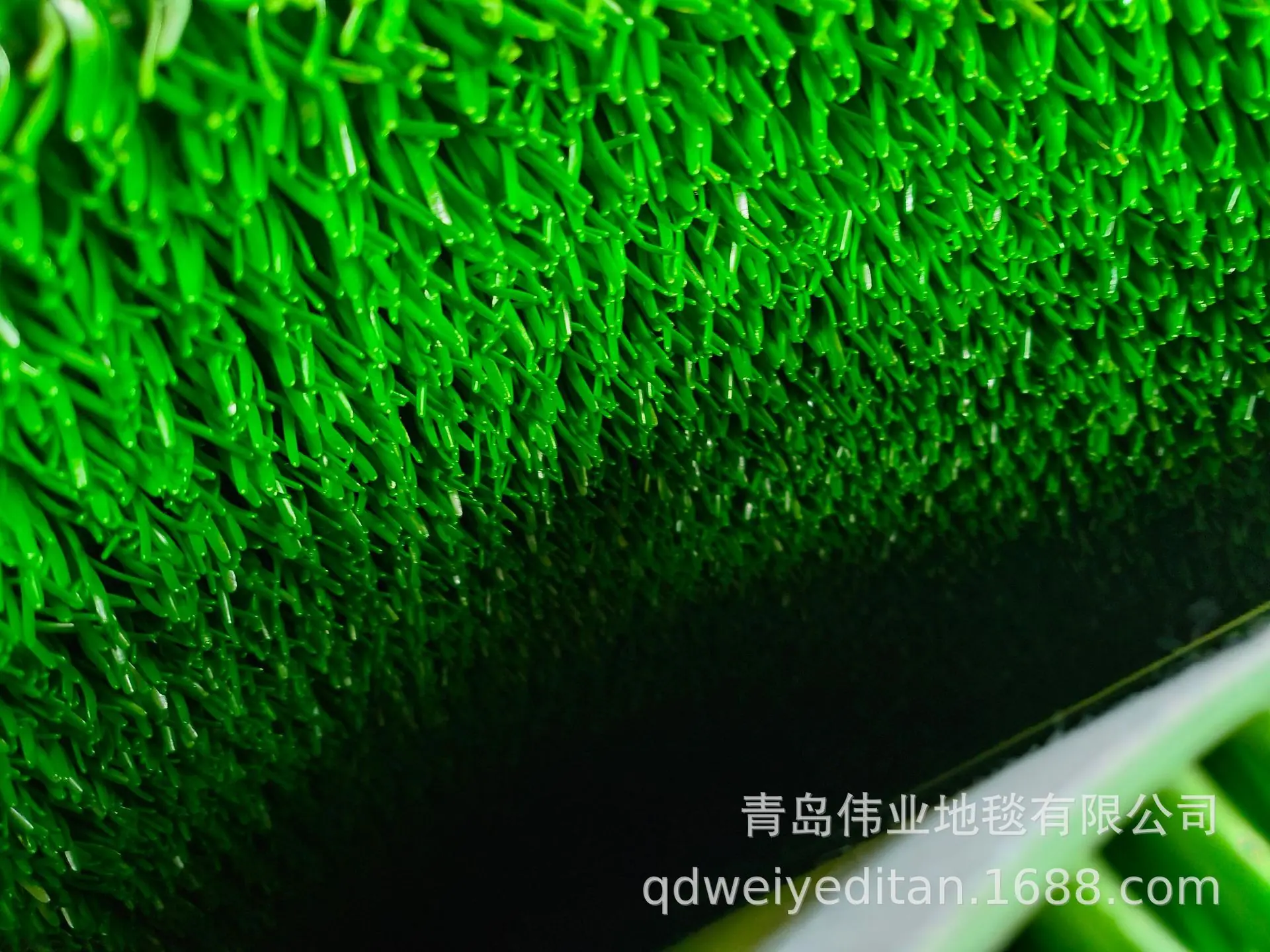 IMG20230909153714.jpg