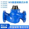 Ws Tipo Rotor Parafusado Flange Grande Diâmetro Medidor de Água Dn6580100150 Propriedade da Estação de Tratamento de Água Vertical Água Fria Medidor Padrão Nacional