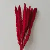 Espiga de painço Yunnan flor seca natural flor de arroz colorida buquê decoração de casa adereços de fotografia DIY inserir