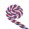 Fornecimento Exclusivo Transfronteiriço 10m em Estoque Corda de Algodão Colorida de Três Fios 6mm Corda Torcida para Macramê Corda de Cor Mista para Artesanato DIY