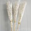 Hoja Fugui Blanca Flor Eterna Flor Seca Hoja Fugui Blanqueada Cubierta de Vidrio Productos Terminados Suministro Directo de Fábrica