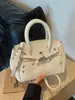 Bolso de Mano de Lujo Platino para Mujer 2026 Estilo Coreano de Moda Bolso de Hombro Único Diseño de Nicho Bolso Cruzado Casual para Mujer