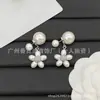 Nova Coleção Transfronteiriça de Brincos Atualizados: Brincos da Sagrada Família, Brincos Chanel, Brincos Dior, Réplica com Etiquetas, Atacado com Descontos