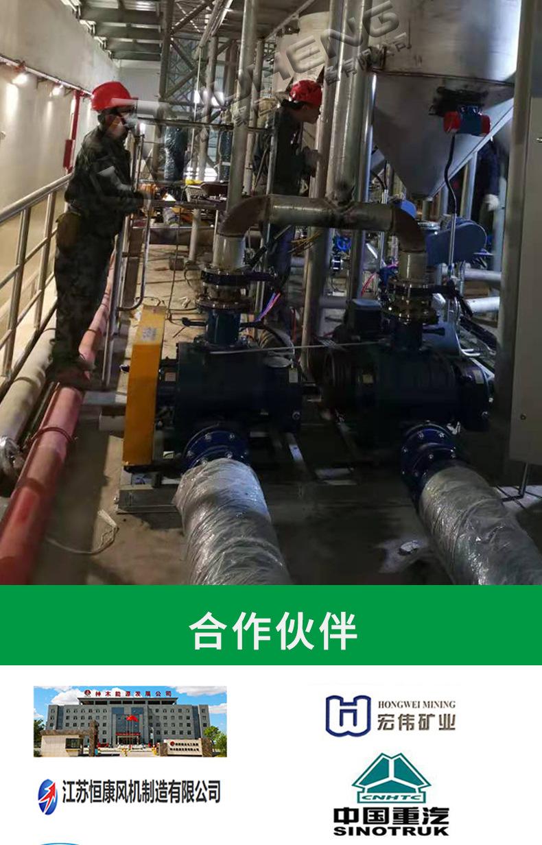 直连式罗茨风机_14.jpg