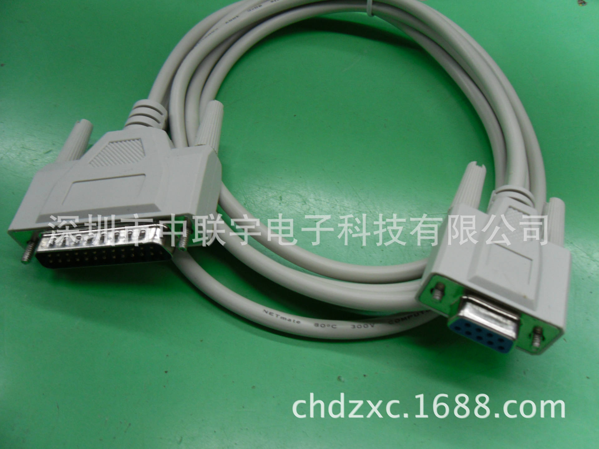 SDC10299
