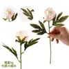 Item Popular Transfronteiriço: Peônia Artificial Única, Crisântemo Bola Original, Folhagem Artificial, Flores Artificiais de Outono em Estoque na Amazon
