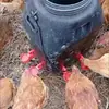 Bebedero automático para aves de corral, tazón de agua automático para pollos, patos y gansos, bebedero para palomas y pollos, comedero automático para pollos