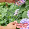 Planta trepadora frondosa, flores coloridas para todas las estaciones, planta en maceta, follaje colorido, maceta colgante, planta trepadora de balcón, planta verde, planta de jardín, planta colgante