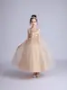 Vestido de Princesa para Meninas Vestido de Casamento Fofo Vestido de Verão Daminha Vestido de Festa de Aniversário Vestido para Apresentação de Piano no Palco Saia