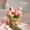 Nuevo Kit de Materiales DIY Palo Retorcido para Adornos de Flores de Rosa en Maceta, Evento de Compra Grupal, Regalo Creativo para Amigos