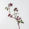50cm Frutas Artificiais Frutinhas Arranjo de Flores para Sala de Estar Decoração de Casa Montagem de Cena Arte Floral Atacado Transfronteiriço